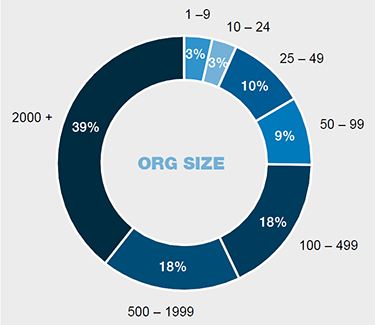 Organisation size