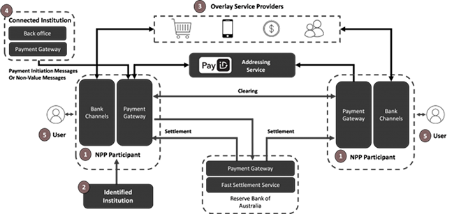 New Payments Platform entities