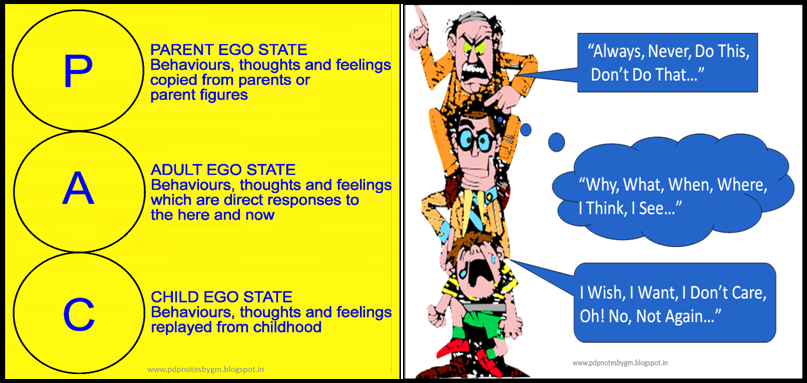 Letters PAC vertically aligned on the left. P = Parent Ego State: Behaviours, thoughts and feelings copied from parents or parent figures. A = Adult Ego State: Behaviours, thoughts and feeling which are direct responses to the here and now. C = Child Ego State. Behaviours, thoughts and feelings replayed from childhood.