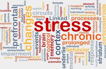 Word cloud outlining terms linked with mental health and processes, such as "stress, changes, chronic, dealing, circuits, hypertrophy and behaviour".